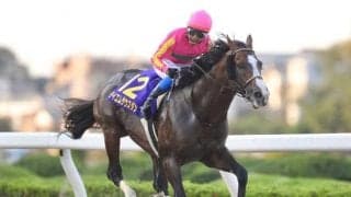 【浦和・オーバルスプリント結果】テイエムサウスダンが早め先頭から押し切り重賞3勝目