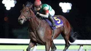 【船橋・日本テレビ盃出走予定馬】クリソベリル、ダノンファラオら