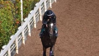 【JRA新馬戦】ダノンファンタジーの半弟セレブレイトガイズなどがデビュー