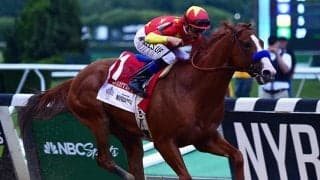 高い評価を受けるジャスティファイ初年度産駒　来年は日本でブームが起きる可能性も？