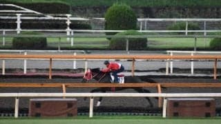 【オールカマー注目馬】重賞で2着5回、3着7回…　善戦マンが3年ぶりの勝利を目指す