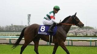 【オールカマー注目馬】再び連勝街道を突き進むべく古馬GI戦線の主役が登場！