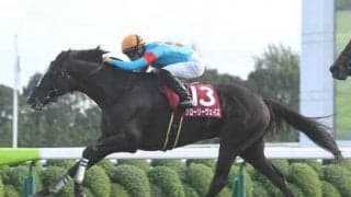 オールカマーは血統とコース適正で２頭を厳選。圧倒的人気が予想されるレイパパレには不安も