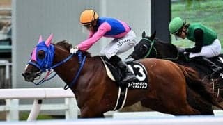【船橋・日本テレビ盃】メイショウダジンの鞍上は幸英明騎手　JRA所属の選定馬が更新