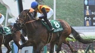 【スプリンターズS】アウィルアウェイは戸崎圭太騎手との初コンビで出走へ