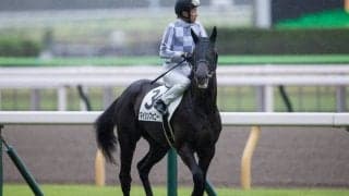 武豊騎手 今週の騎乗馬