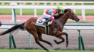 【武豊日記】今後がますます楽しみになりました