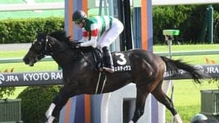 【本日の注目ポイント】ながつきSなどオープンが4鞍、福永Jは区切りの勝利までわずか