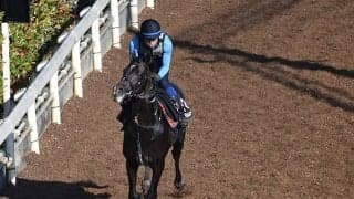 【神戸新聞杯注目馬】ソダシで注目のタッグが牡馬クラシックで逆襲なるか