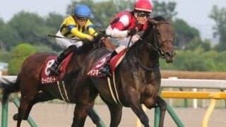 タフな競馬が予想されるオールカマー。タイプが異なる伏兵２頭の大駆けに注意