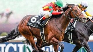 【神戸新聞杯注目馬】キングストンボーイ始動戦　名伯楽と最後の秋へ