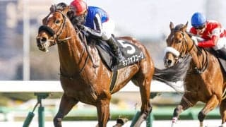 【オールカマー予想】突出馬2頭の神戸新聞杯より狙うならこっち 天候・距離・展開をポイントに浮上する伏兵馬3頭/JRA重賞レース展望