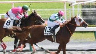 【中京4R新馬戦結果】7番人気アファンが鋭く差し切りデビュー勝ち