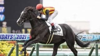 【中山5R新馬戦結果】キタサンブラック産駒ビジュノワールが危なげなく押し切る