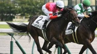 【中京5R新馬戦結果】サトノアラジン産駒ヴィルチュオーズが抜け出してV