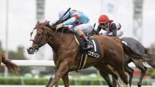 【カンナS結果】出遅れも何のその、コラリンが差し切り連勝