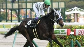 【野路菊S結果】シルバーステート産駒ロンがレコードで無傷2連勝