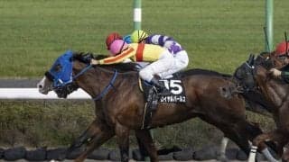 【ながつきS結果】ブービー人気ロイヤルパールスが激戦を制す！3連単425万円の波乱