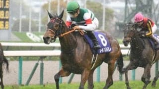 【オールカマー前日オッズ】レイパパレが2.4倍で1番人気