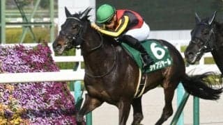 【神戸新聞杯前日オッズ】ダービー馬シャフリヤールが1.5倍で断然の人気