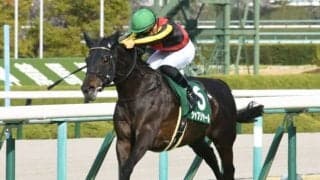 【WIN5予想】オールカマーはGIでの実績が重要