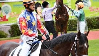 【清秋ジャンプS】ミンナノシャチョウが死亡、黒岩悠騎手は頭部打撲で病院へ