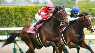 【神戸新聞杯予想】圧倒的に優勢のダービー組で危険なのは？ 過去10年で馬券内ゼロの消去条件/JRA重賞レース展望