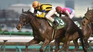 【オールカマー】ランブリングアレー陣営「精神面の成長がみられます」/ねぇさんのトレセン密着