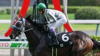 【野路菊S】シルバーステート産駒 ロンがデビュー2連勝