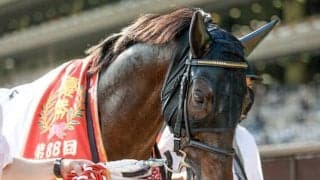 【本日の注目ポイント】神戸新聞杯でシャフリヤールが復帰、中山ではオールカマー