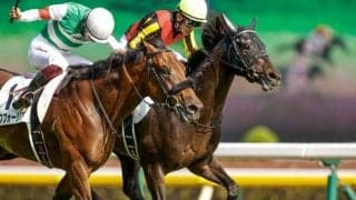 【神戸新聞杯予想】近年ほぼ人気が結果に繋がっている菊花賞へのトライアルレース