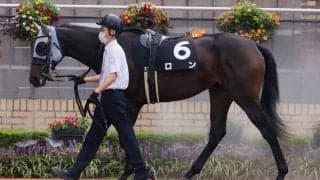 石橋守調教師 JRA通算100勝達成！