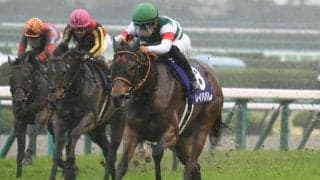 【オールカマー予想】上位人気が安定成績で荒れない傾向に？ 圧倒的人気レイパパレの取捨は？