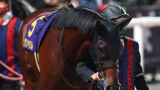 【船橋・日本テレビ盃枠順確定】クリソベリルは2枠2番、ノンコノユメは7枠8番