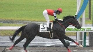  【中京4R新馬戦結果】ドライスタウトが快勝、福永祐一騎手は2500勝達成