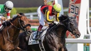 【神戸新聞杯・馬体重】シャフリヤールは452kg(+8)、ステラヴェローチェは506kg(+18)