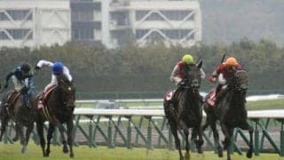 【JRA・WIN5】本日のWIN5は的中3010票、配当19万6010円