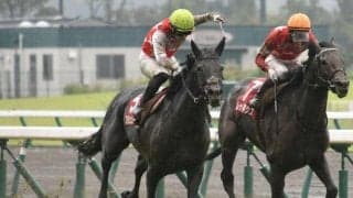 【神戸新聞杯結果】ステラヴェローチェが差し切り重賞2勝目！シャフリヤールは4着に敗れる