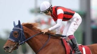 【勝負の分かれ目 オールカマー】ウインマリリンが内から弾けて重賞3勝目