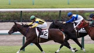 【新馬/中山5R】ハービンジャー産駒 サインオブサクセスがデビューV