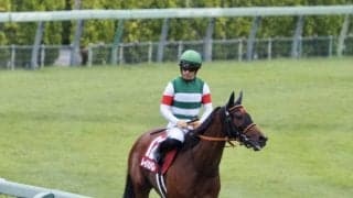 【オールカマー】川田「ゴール前で苦しくなった」レイパパレは4着