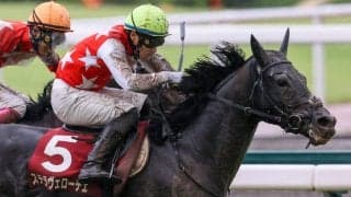 【神戸新聞杯】吉田隼「馬場を意識していた」ステラヴェローチェがダービー馬を撃破