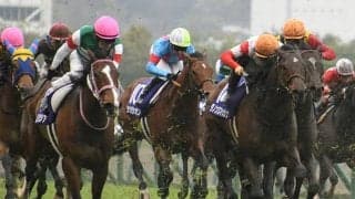 国内外のビッグレースに注目！ スプリンターズSと凱旋門賞/今週の競馬界の見どころ
