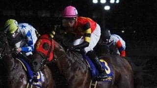 【シリウスS登録馬】ゴッドセレクションなど22頭