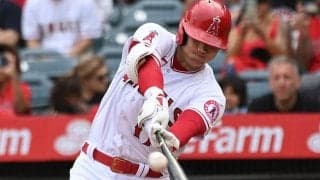 【MLB】大谷翔平、リアル二刀流で2試合連続安打　6回まで8奪三振4安打無失点