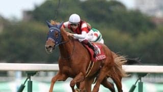 【オールカマー】売上は67億5238万2900円で昨年からおよそ21億円の増加