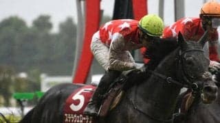 【神戸新聞杯】売上は55億5292万2100円で昨年からおよそ28億円の減少