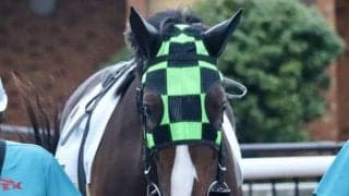 【地方競馬】黒と緑の市松メンコ“タンジロー”が大井で初勝利、2着にエイノスケ 