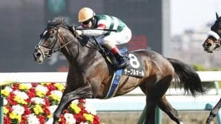 【先週のJRA抹消馬】障害重賞で活躍したサーブルオール、オホーツクSを制したワセダインブルーなど