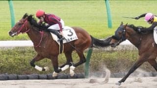 【新馬/中山3R】ホッコータルマエ産駒 フルオールがデビューV